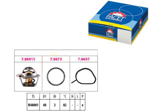 Termostat Ford Focus Facet