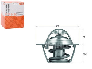 Termostat Ford Behr