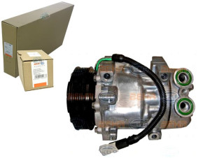 Sprężarka Klimatyzacji Citroen C5 2001-2004 Behr H