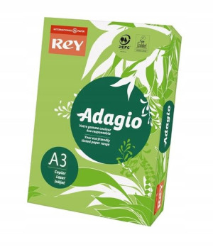 Papier kolorowy A3 500ark Adagio Zielony Trawiasty