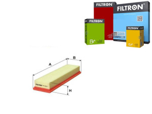 Filtr Powietrza Filtron