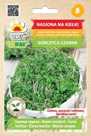 Toraf Nasiona Na Kiełki Gorczyca Czarna Zdrowe 20g