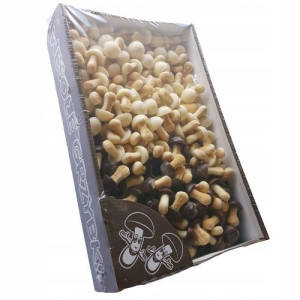 Herbatniki Wesołe Grzybki Mix Czekoladowy 1kg