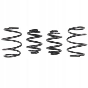 Sprężyny EIBACH PRO KIT BMW 3 E46 R6 Diesel