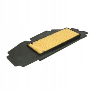 Filtr powietrza SYM GTS, JOYMAX 250/300 2006- Rms