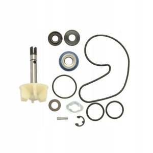 Zestaw naprawczy pompy wody SUZUKI AN 400 2007- RM