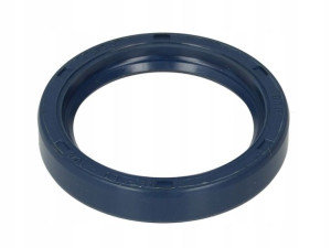 Uszczelniacz Bad 45x60x10