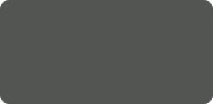Pisak Kuretake Fine&Brush for Manga cool gray  C.11