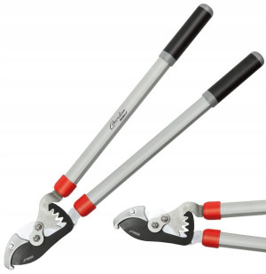 Dedra Sekator Kowadełkowy Gałęzi 710mm Przekładnia