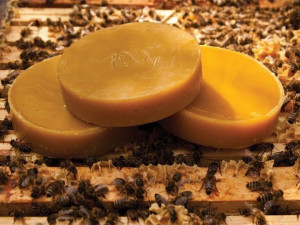 Wosk pszczeli 100% naturalny od pszczelarza 100g