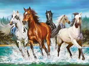 Diamond Painting Haft Diamentowy DUŻY 60x40cm
