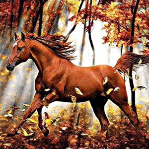 Diamond Painting Haft Diamentowy Mozaika Zestaw 5D