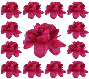 Róża 12 szt RÓŻYCZKA główka 4 cm Burgundy
