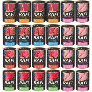 Dolina Noteci Rafi mix smaków 24x 400g