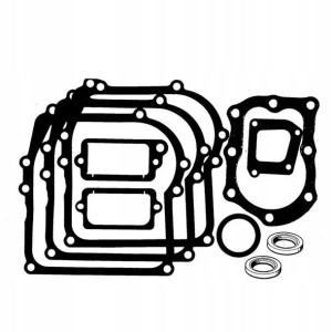 Zestaw Uszczelek Briggs&Stratton 450 500 Class