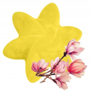 SOJOWY WOSK olejek ZAPACHOWY aromaterapia JAPOŃSKA MAGNOLIA