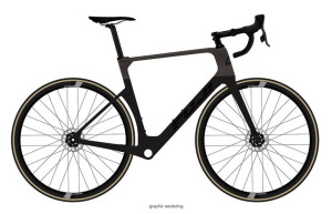 Rower FUJI KASANE 1.3 carbon/silver 51cm