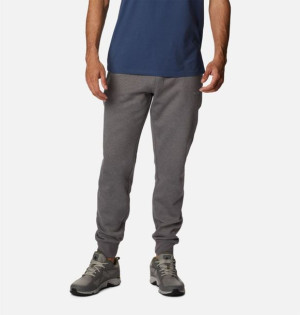 Dresy Columbia M CSC Logo Fleece Jogger II 1911601025 L