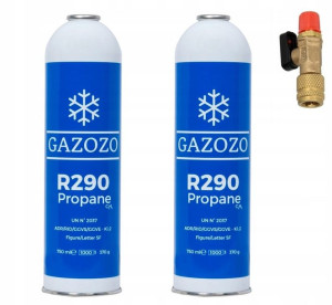2x R290 czynnik chłodniczy Gaz Propan 370g + Zawór
