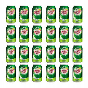 24x Napój gazowany CANADA DRY imbirowy 0,33l