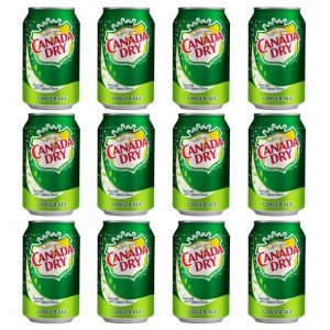 12x Napój gazowany CANADA DRY imbirowy 0,33l