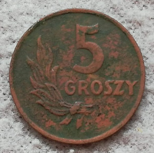 Stara moneta kolekcjonerska 5 groszy 1949 Polska