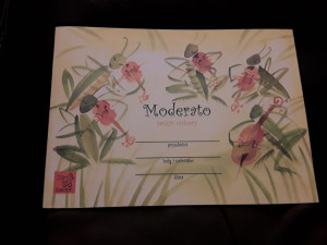 Zeszyt do nut Moderato