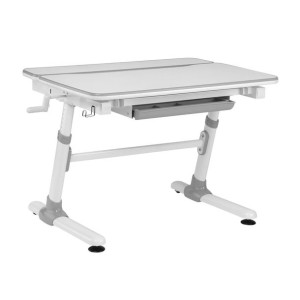 Ergooffice.eu Biurko Dla Dzieci Z Reg. Wys. Er-417