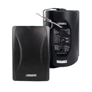 Dsppa Głośnik Ścienny Dwudrożny 40w (100v) Czarny Dsp8064b