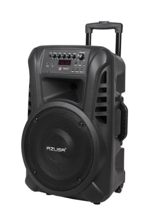 Kolumna aktywna ( z 2 mikrofonami bezprzewodowymi, SD, Bluetooth, USB) 12"