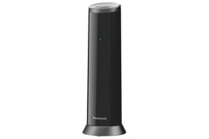 Telefon bezprzewodowy stacjonarny Panasonic KX-TGK 210 PDB