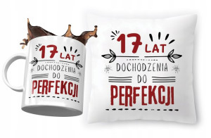 Zestaw na Urodziny 17 17te 17-te Poduszka + Kubek