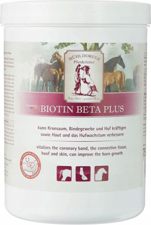 Biotyna Suplement Dla Koni 750g Mocne Stawy Ścięgn
