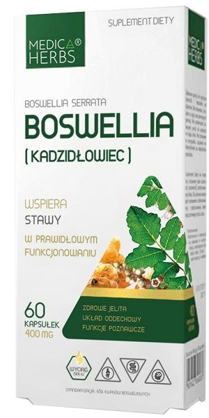 Boswellia Ekstrakt Kadzidłowiec Stawy 60kaps