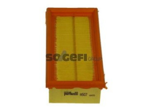 Filtr powietrza PURFLUX A507 C2039