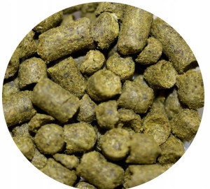 aromatyczny chmiel HALLERTAUER TRADITION 50g