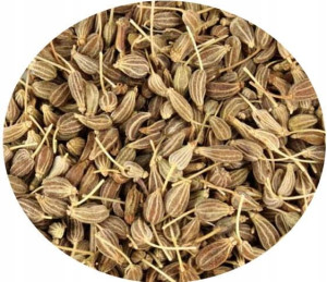 ANYŻ ZIARNO 100g anyżek