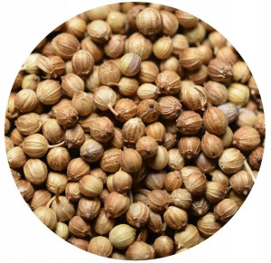 naturalna KOLENDRA ZIARNO 100g aromatyczna