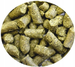 uniwersalny chmiel CHINOOK 50g USA aromatyczny