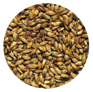 Słód KARMELOWY 30 Viking Malt 1kg piwo domowe