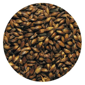 Słód KARMELOWY 300 Viking Malt 1kg piwo domowe