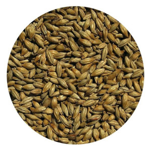Słód MONACHIJSKI CIEMNY Viking Malt 1kg