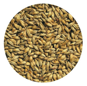 Słód MONACHIJSKI JASNY Viking Malt 1kg