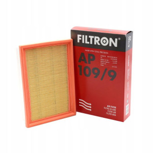 Filtr Powietrza Filtron AP109/9