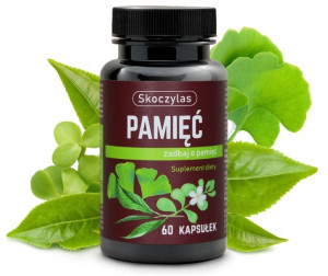 Pamięć Bacopa Monnieri SKOCZYLAS 60 kaps Miłorząb