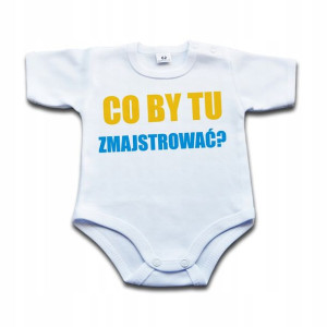BODZIAK Co by tu zmajstrować? - 62 kr