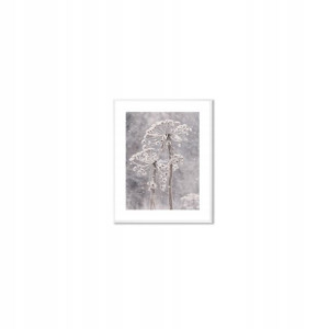 Obraz DENVER z ośnieżonym kwiatem 50,8x40,8cm