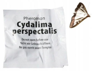 Feromon Wabiący Ćmę Bukszpanową do Pułapek
