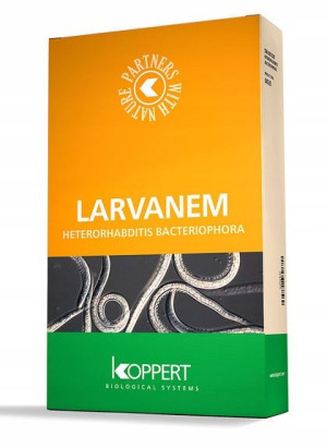 Larvanem Nicienie 500 mln pędraki larwy opuchlaki