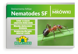 Nematodes SF 25 mln Nicienie na Mrówki 50 mrowisk
